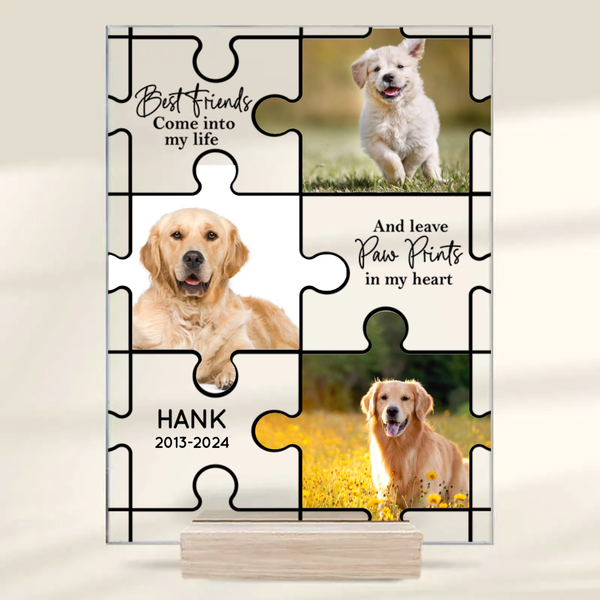 Custom Photo Best Friends Come Into Our Lives - Memorial Gift For Pet Lovers - Personalized Acrylic Plaque