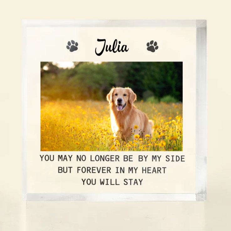 Custom Photo You Will Stay Forever In My Heart - Memorial Gift For Pet Lovers - Personalized Square Shaped Acrylic Plaque