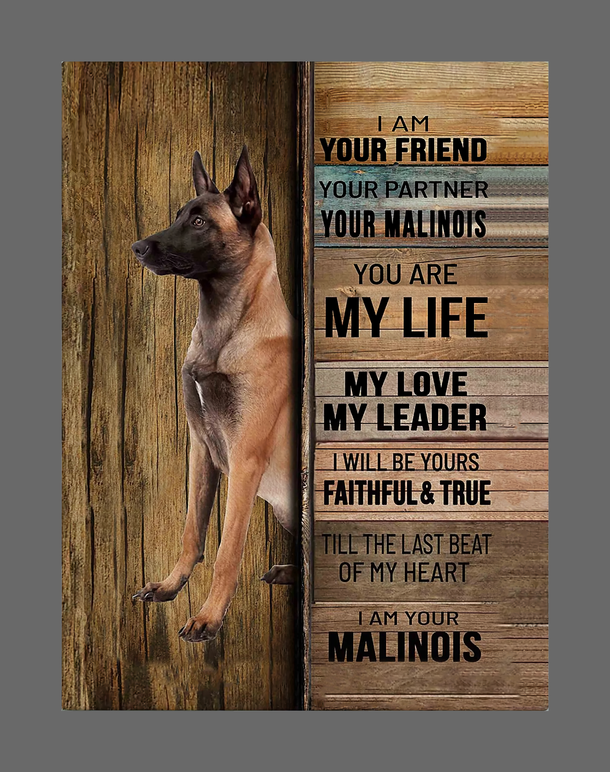 I Am Your Friend Dog Malinois Pet Canvas
