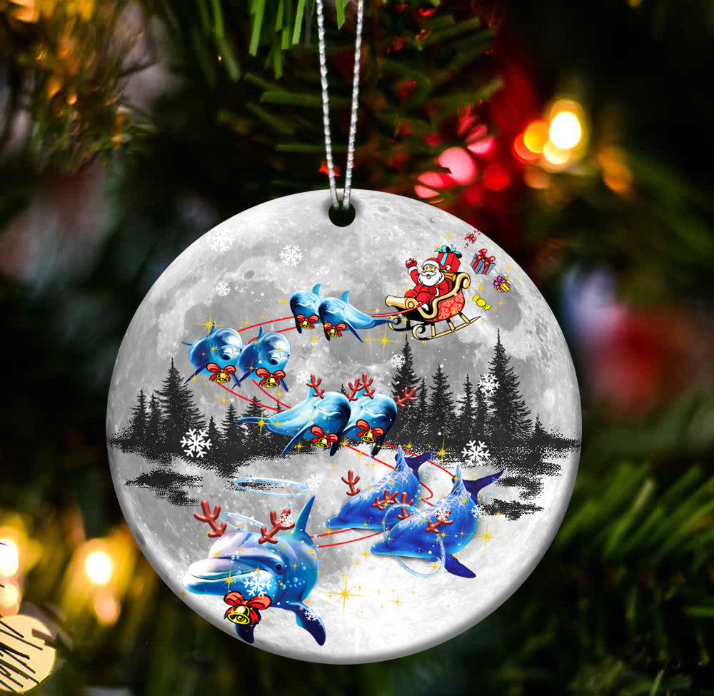 Dolphin cute special ride two sides ornament