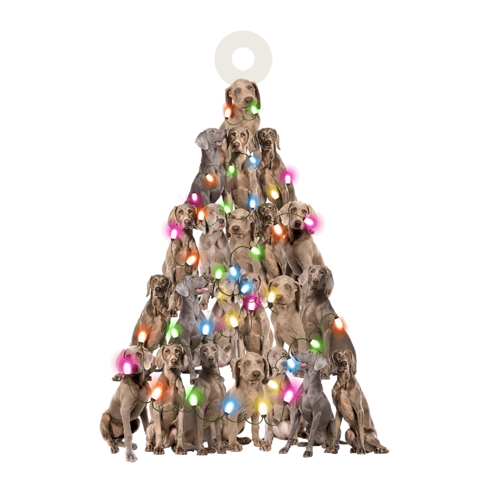 Weimaraner Lovely Tree Ornament - Gift For Dog Lover