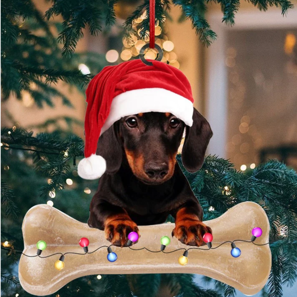 Dachshund On Twinkle Light Bone Shape Ornament - Gift For Dog Lover