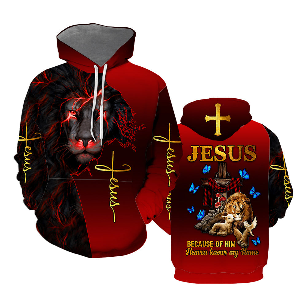 Jesus Because Of Him Heaven Knows My Name - Hoodie 