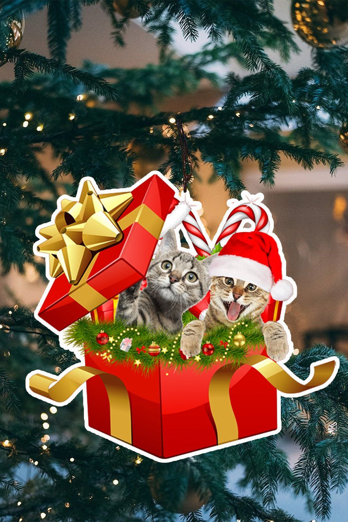 Cat In Christmas Gift Box Shape Ornament