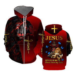 Jesus Because Of Him Heaven Knows My Name - Hoodie 