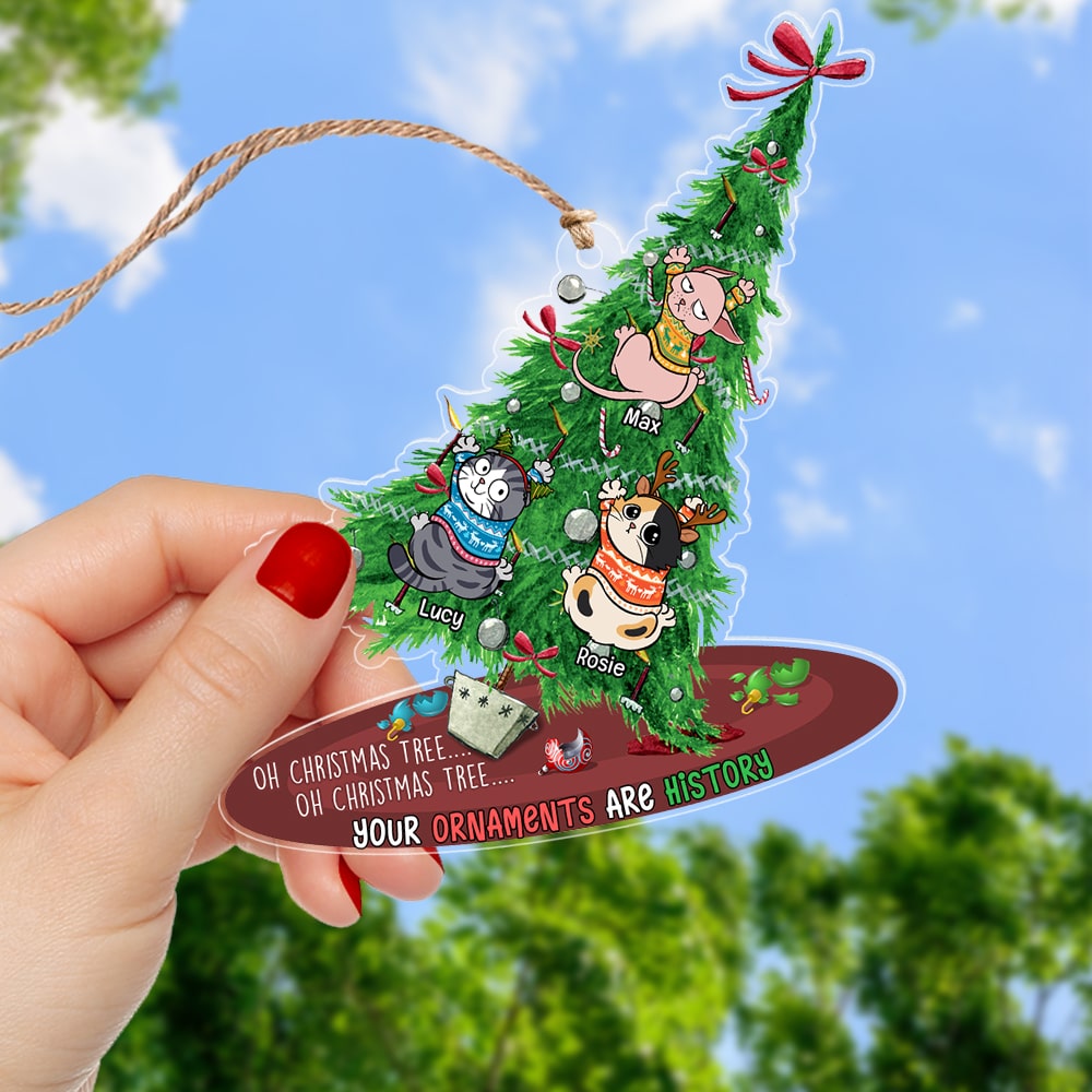 3_d14bbb60 649f 45c7 a8a3 497dce146a13