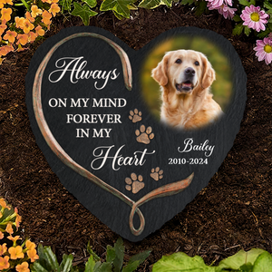 Custom Photo Always on My Mind Heart - Pet Memorial - Personalized Stone DN100