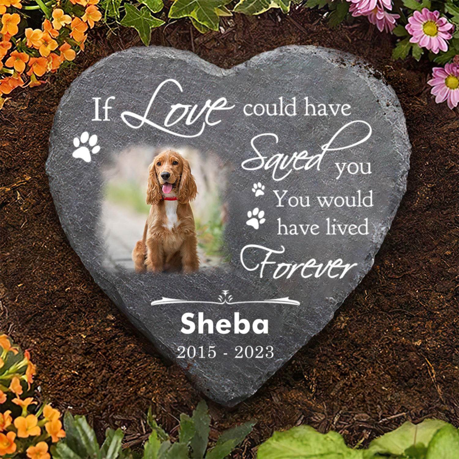 Custom Photo Could Have Saved You - Pet Memorial - Personalized Stone DN100