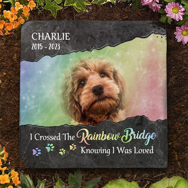 Custom Photo I Crossed The Rainbow Bridge Knowing I Was Loved - Pet Memorial - Personalized Stone DN100