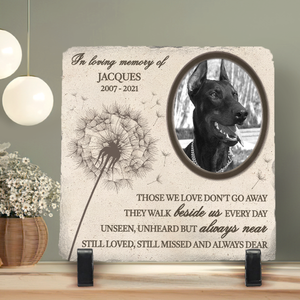 Custom Photo In Loving Memorial - Pet Memorial - Personalized Garden Stone DN100