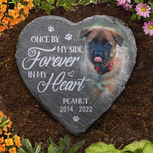 Custom Photo Once By My Side Forever In My Heart - Pet Memorial - Pesonalized Stone DN100