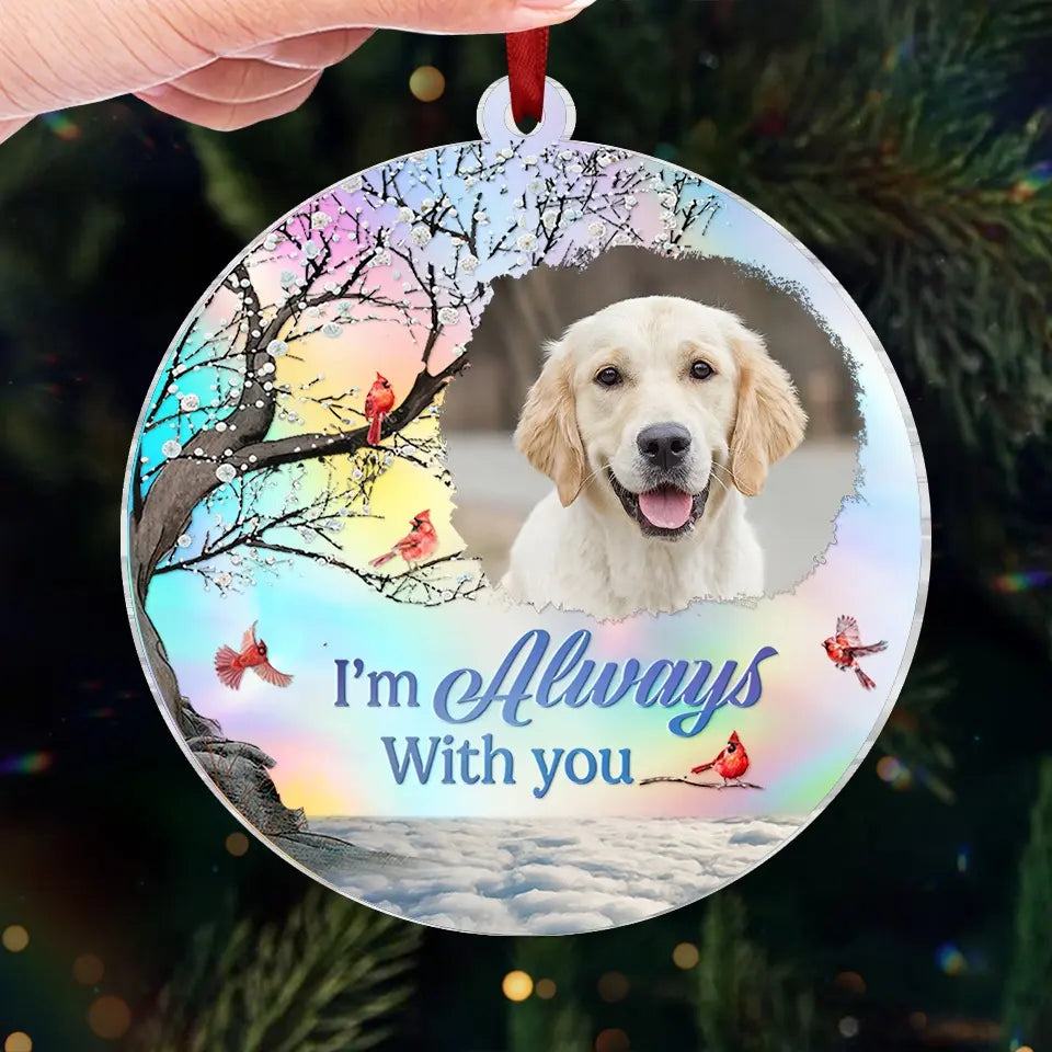 Custom Photo You Brought Joy To Our Lives - Pet Memorial - Personalized Acrylic Hologram Ornament DN100