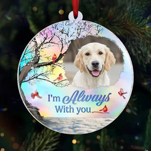 Custom Photo You Brought Joy To Our Lives - Pet Memorial - Personalized Acrylic Hologram Ornament DN100