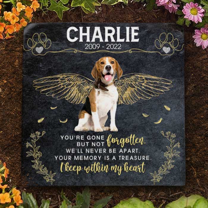 Custom Photo You're Gone But Not Forgotten - Pet Memorial - Personalized Stone DN100