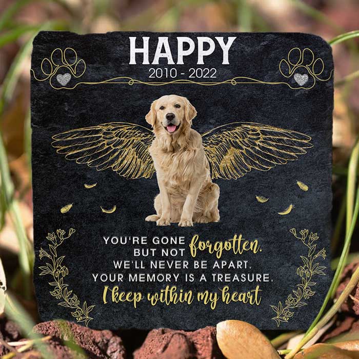 Custom Photo You're Gone But Not Forgotten - Pet Memorial - Personalized Stone DN100