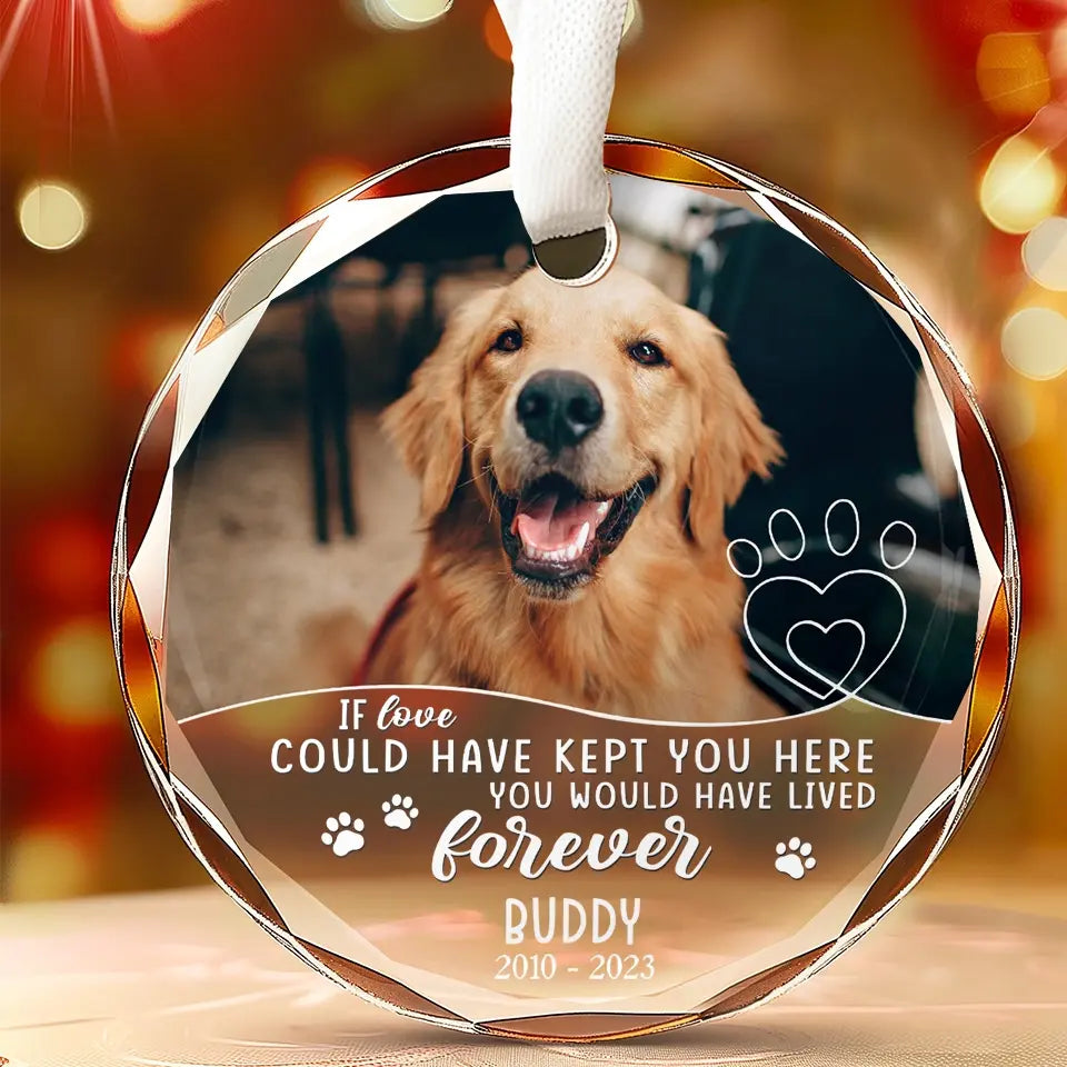 Forerver In My Heart - Pet Memorial - Personalized Photo Glass Ornament DN100