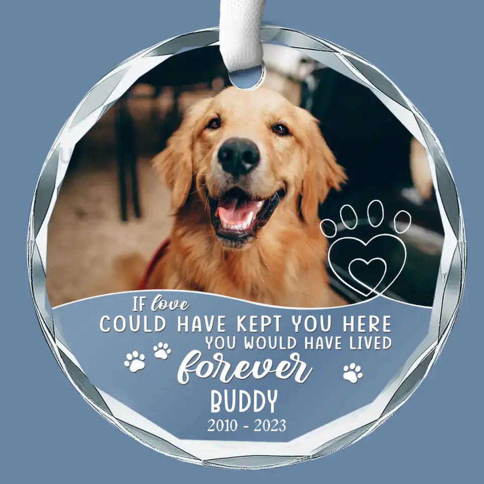 Forerver In My Heart - Pet Memorial - Personalized Photo Glass Ornament DN100