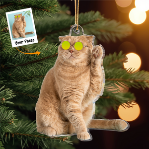 Custom Photo Funny Cat Gifts For Cat Lovers - Personalized Acrylic Photo Ornament