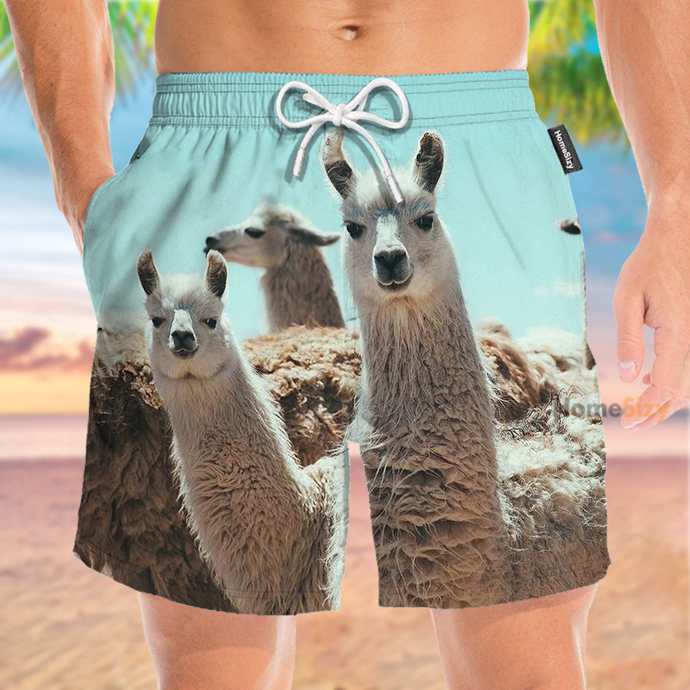 Cute Llamas Funny - Beach Shorts