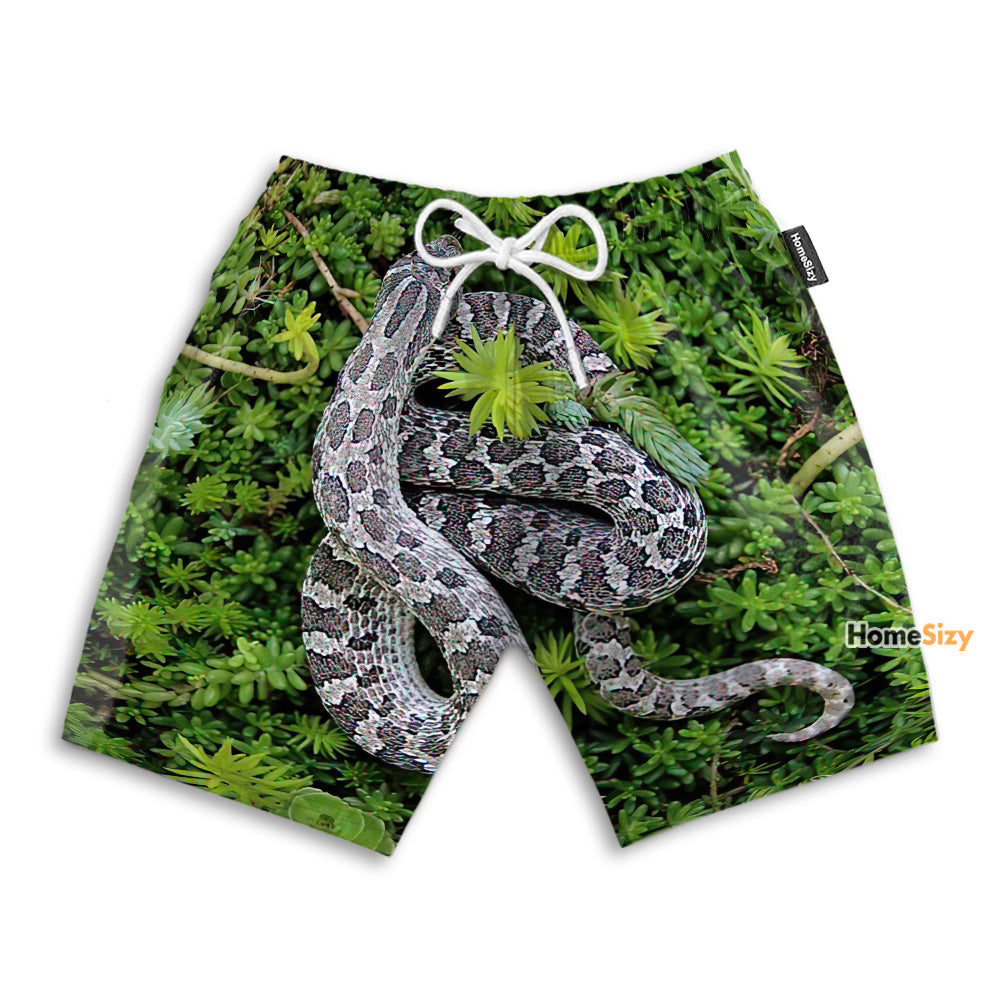 Western Hognose Snake - Beach Shorts