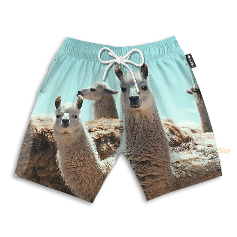 Cute Llamas Funny - Beach Shorts