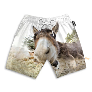 Cute Donkey Funny - Beach Shorts