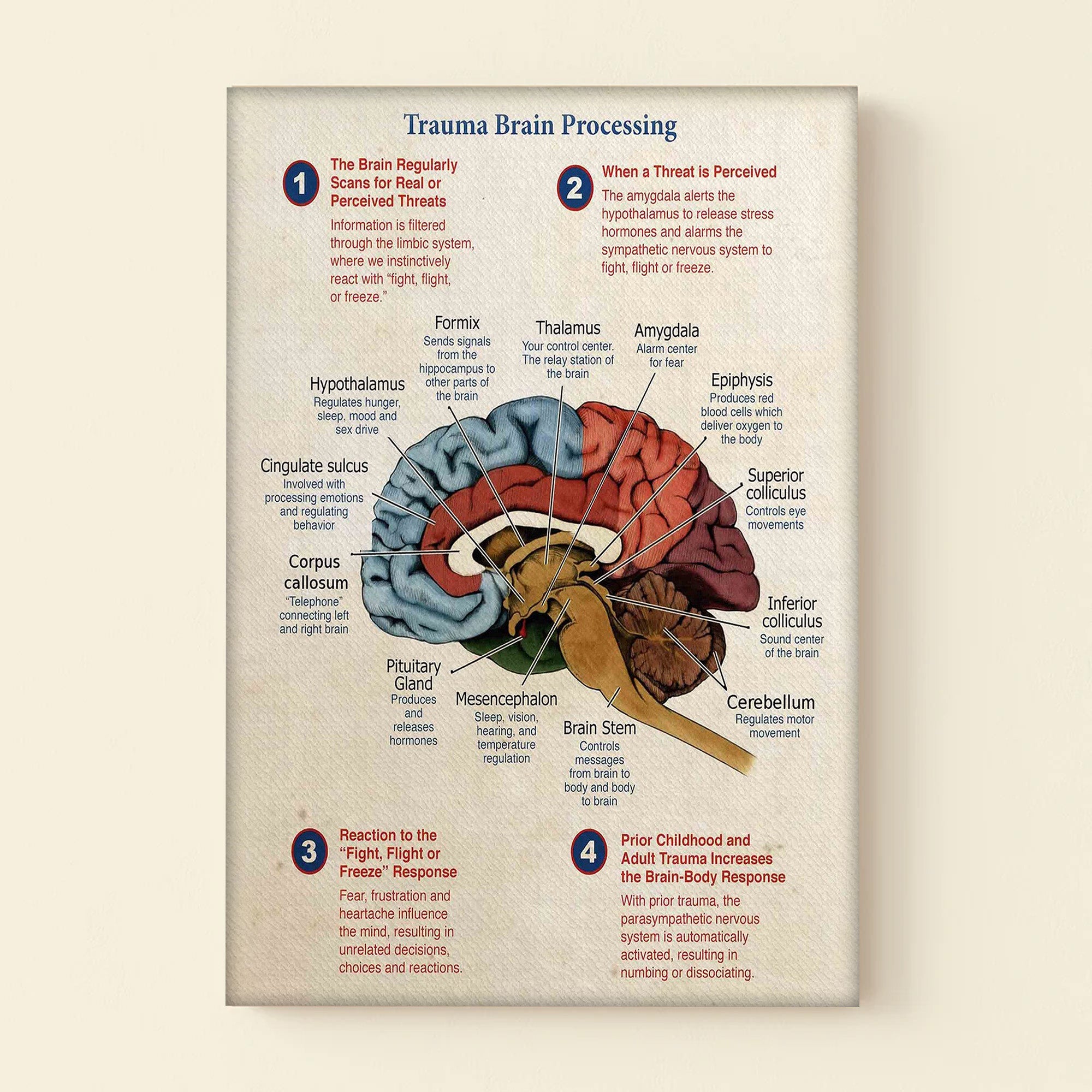 Avis89 Trauma Brain Processing Christmas Canvas