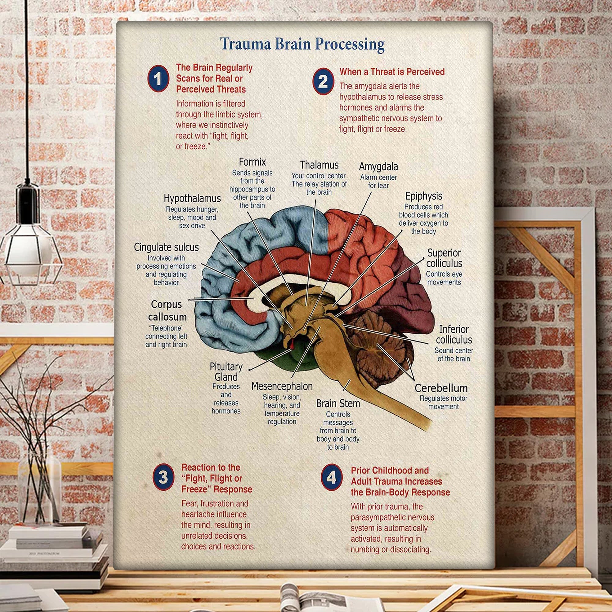 Avis89 Trauma Brain Processing Christmas Canvas