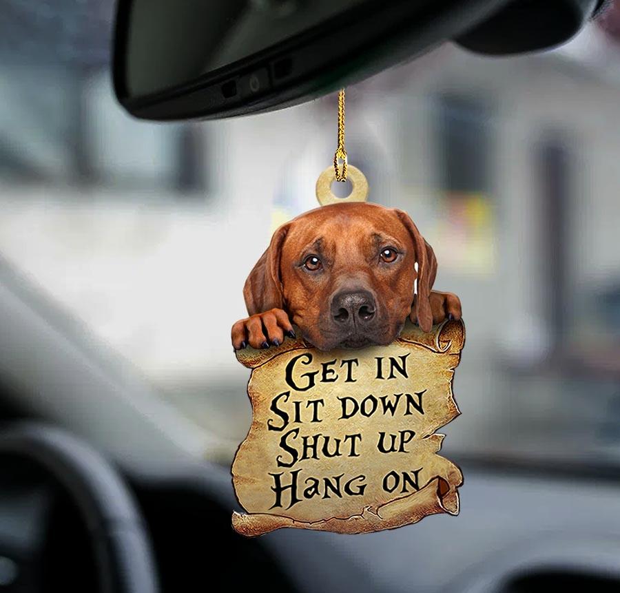 Rhodesian Ridgeback Get In Two Sided Ornament