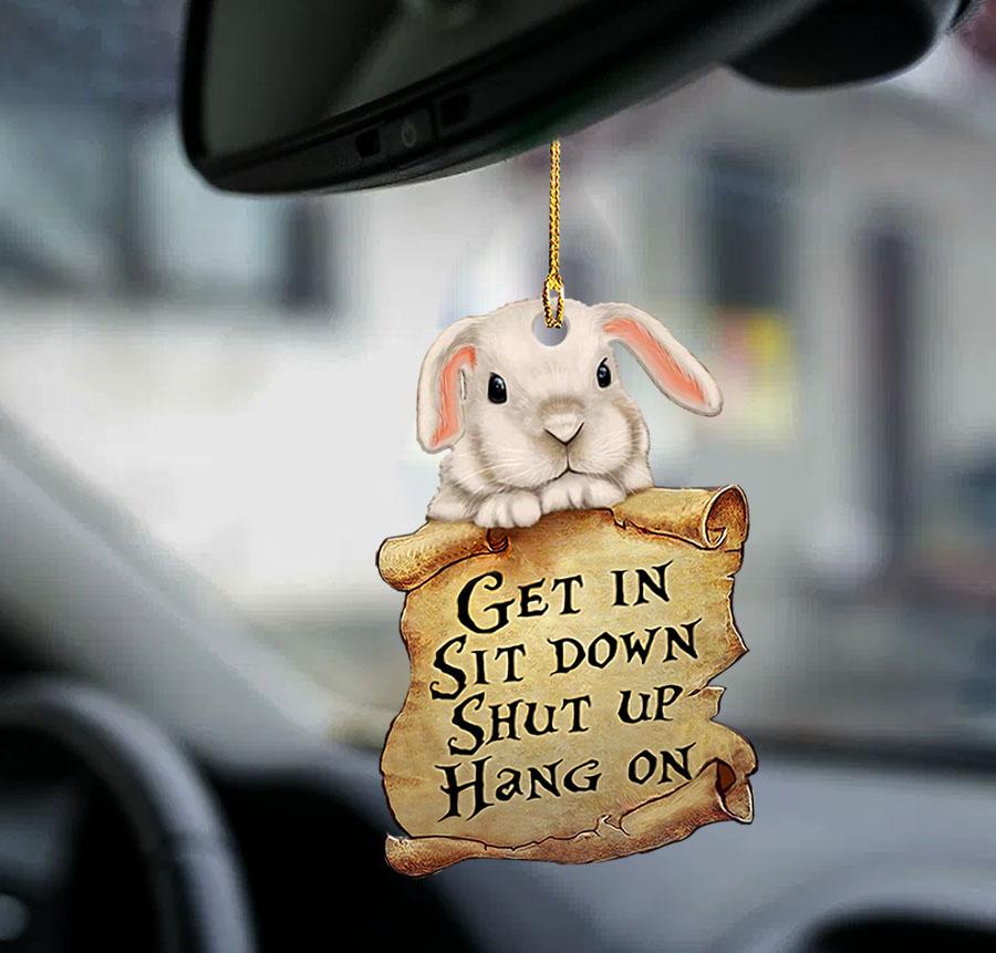 Bunny Get In Two Sided Ornament - Gift For Bunny Lover