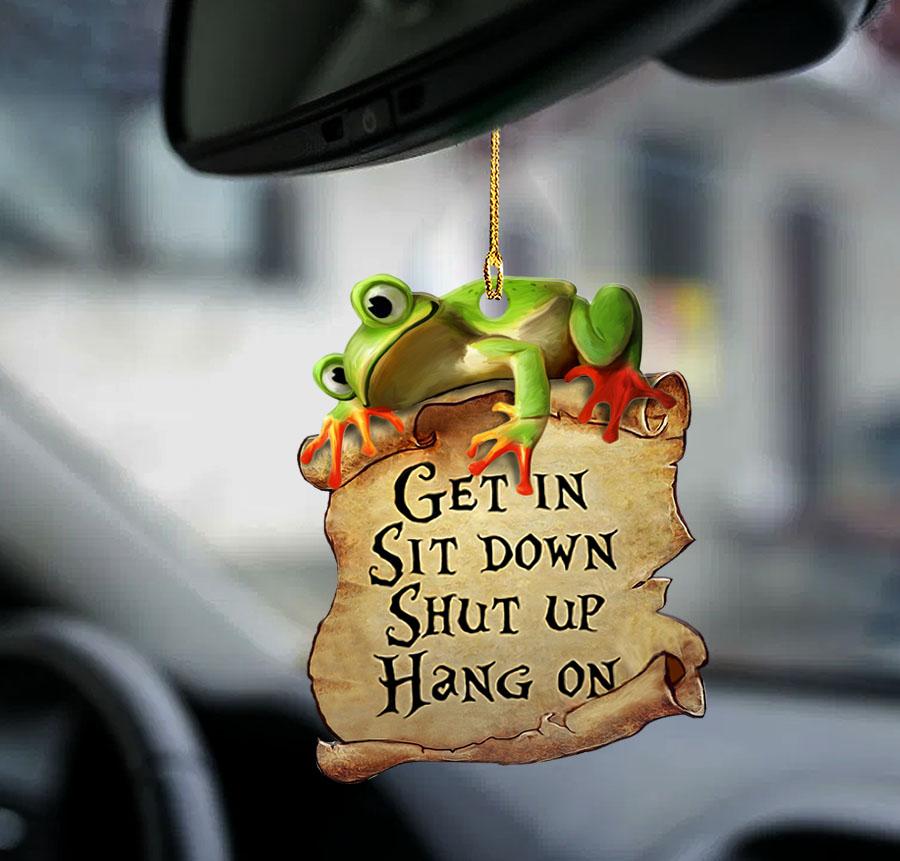 Frog Get In Two Sided Ornament Frog Car Ornaments - Gift For Frog Lover