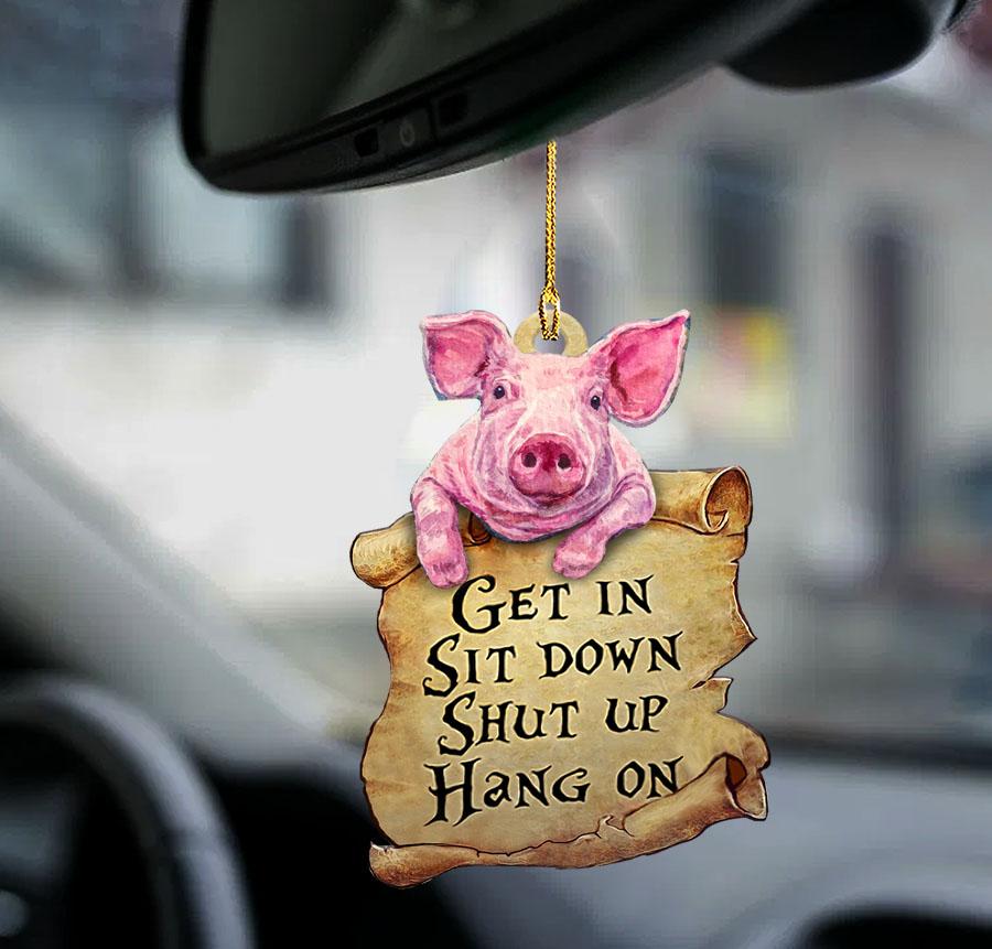 Pig Get In Two Sided Ornament - Gift For Pig Lover