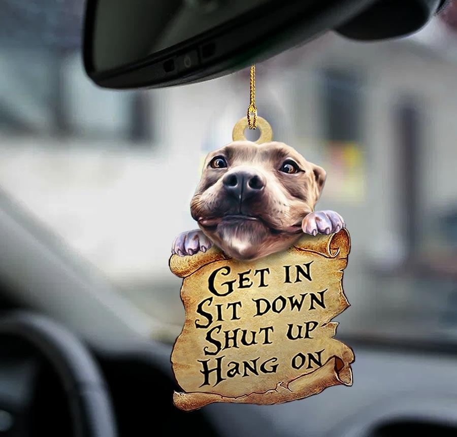 Pitbull Get In Two Sided Ornament - Gift For Pitbull Lover