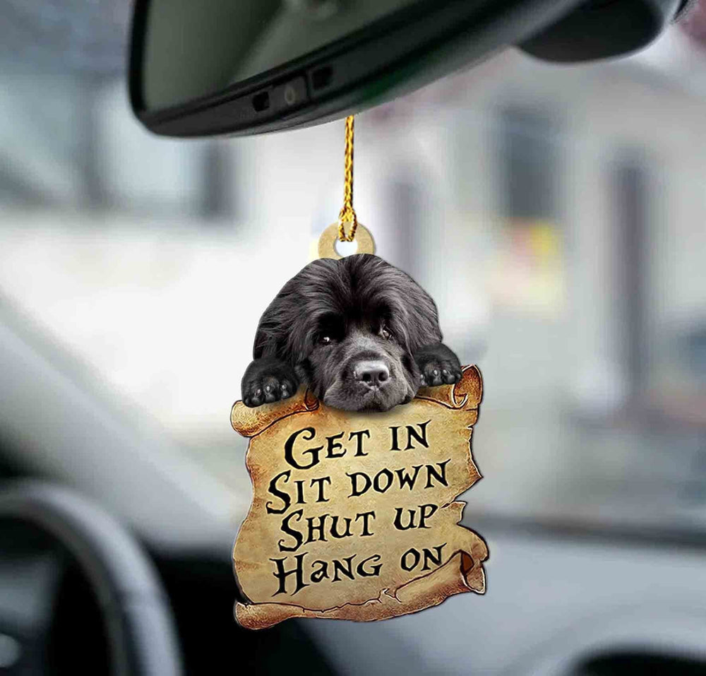 Newfoundland Dog Get In Two Sided Ornament - Gift For Dog Lover