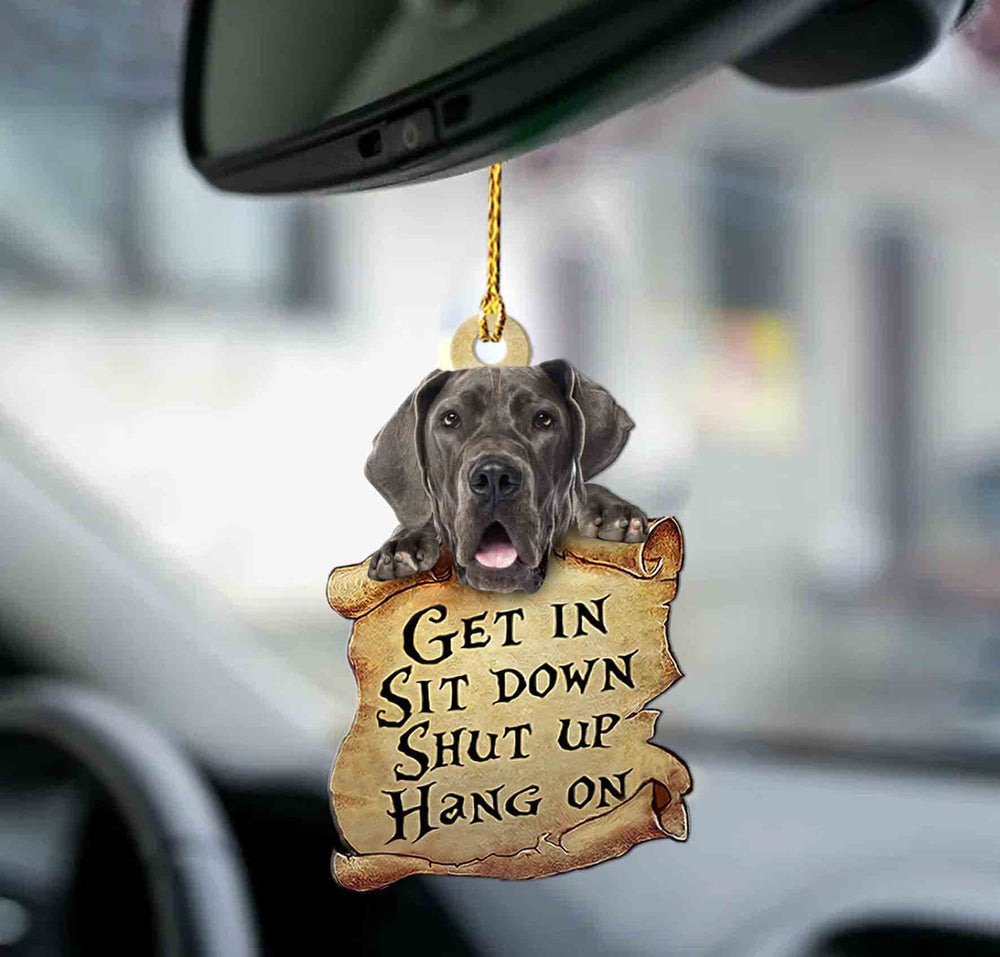 Great Dane Get In Two Sided Ornament