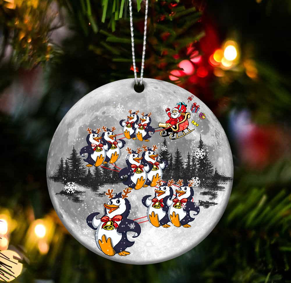 Penguin cute special ride two sides ornament