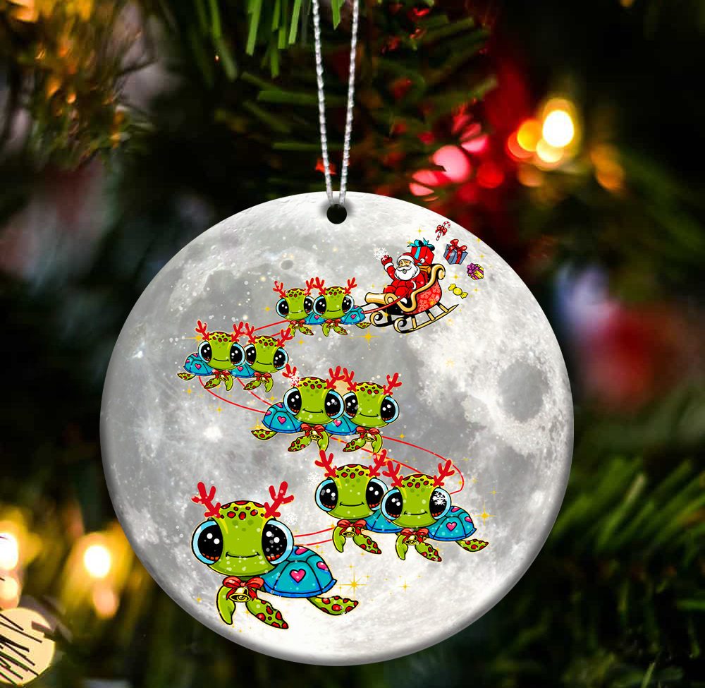 Turtle cute special ride two sides ornament