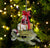 Turtle christmas gifts two sides ornament