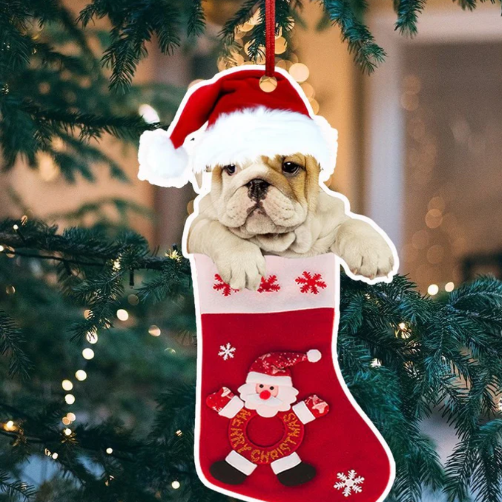 English Bulldog In A Christmas Stocking Shape Ornament