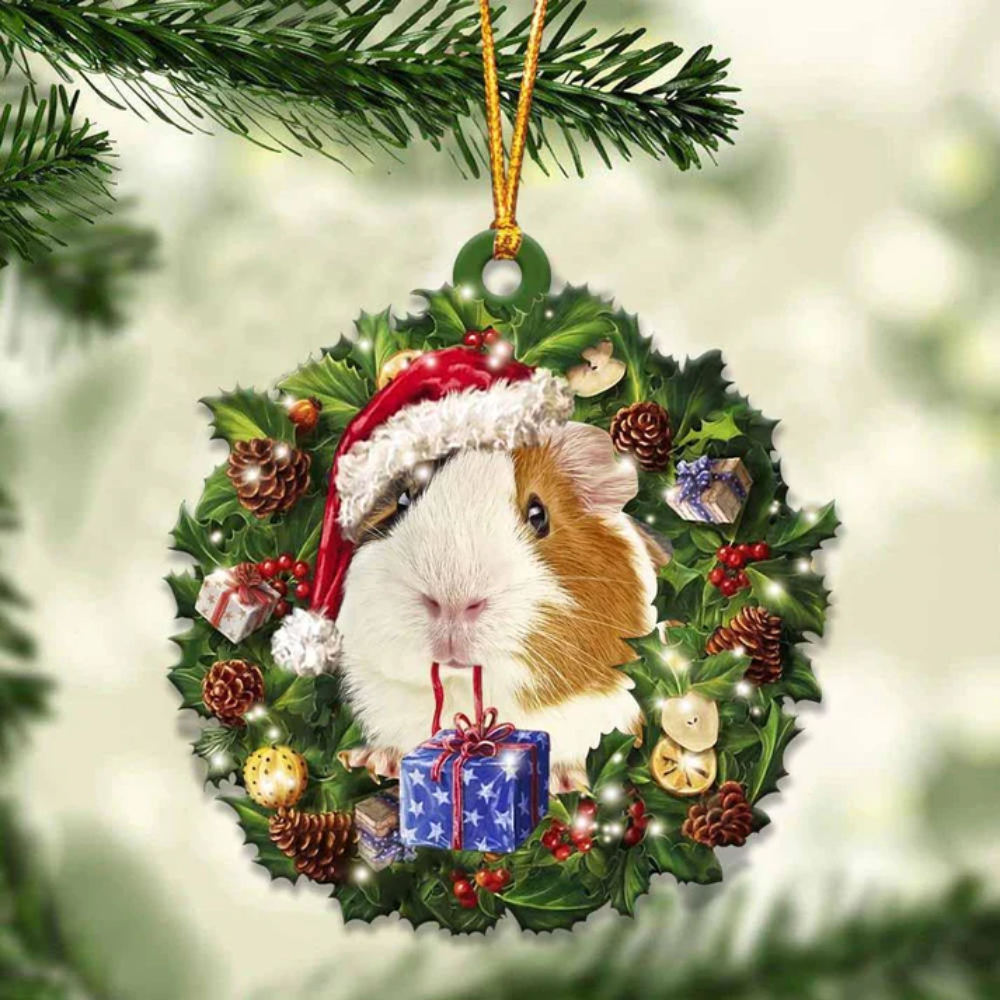 Guinea Pig And Christmas Ornament